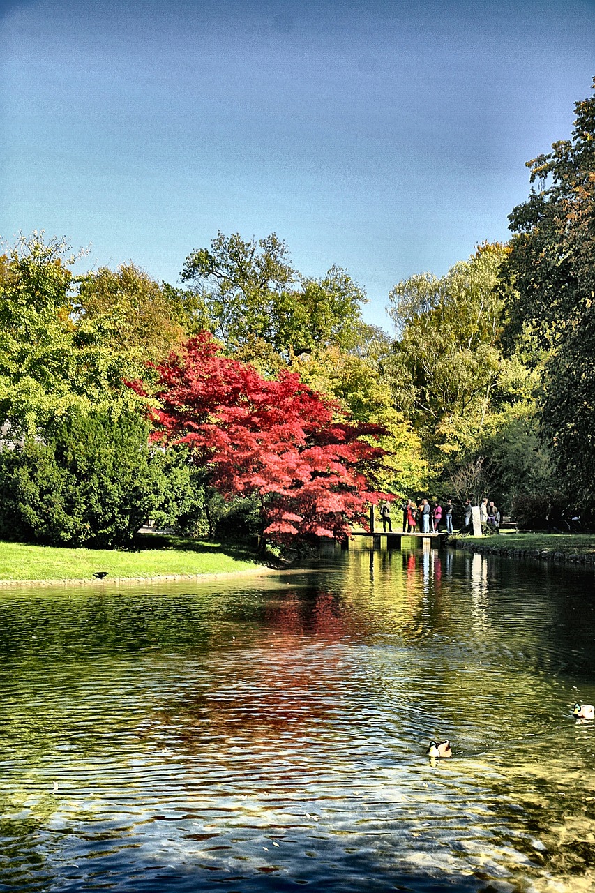 老余杭南湖最新動態(tài)，城市發(fā)展與綠色生態(tài)的和諧共舞