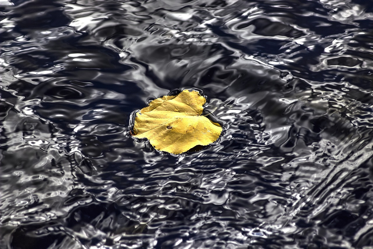 鳳臺最新人事任免動態(tài)公布