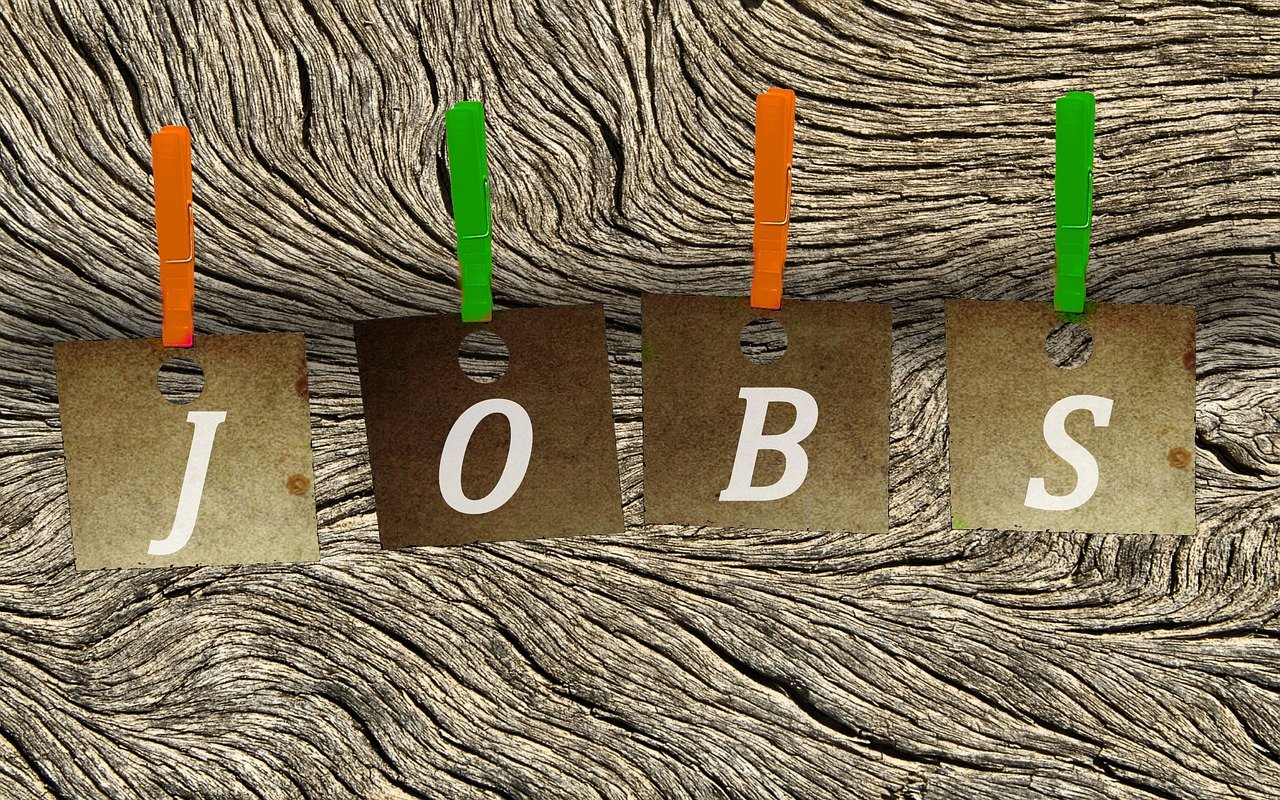 浮宮最新招聘啟事，職業(yè)發(fā)展機(jī)會與招聘動態(tài)探討