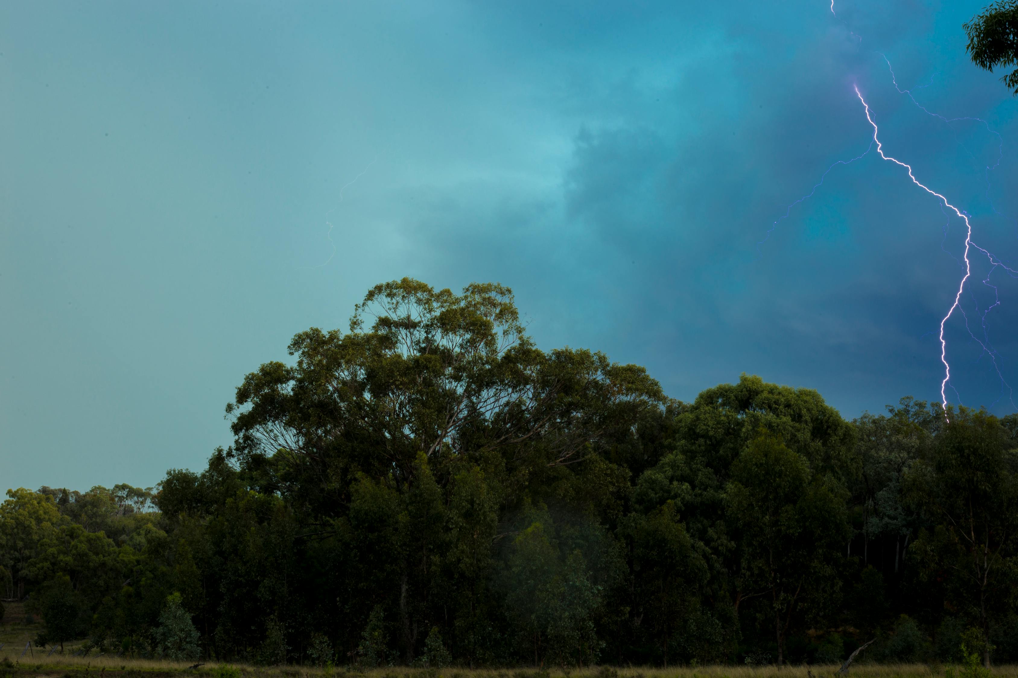 張麗莉最新動態(tài)，英雄教師的新征程與挑戰(zhàn)