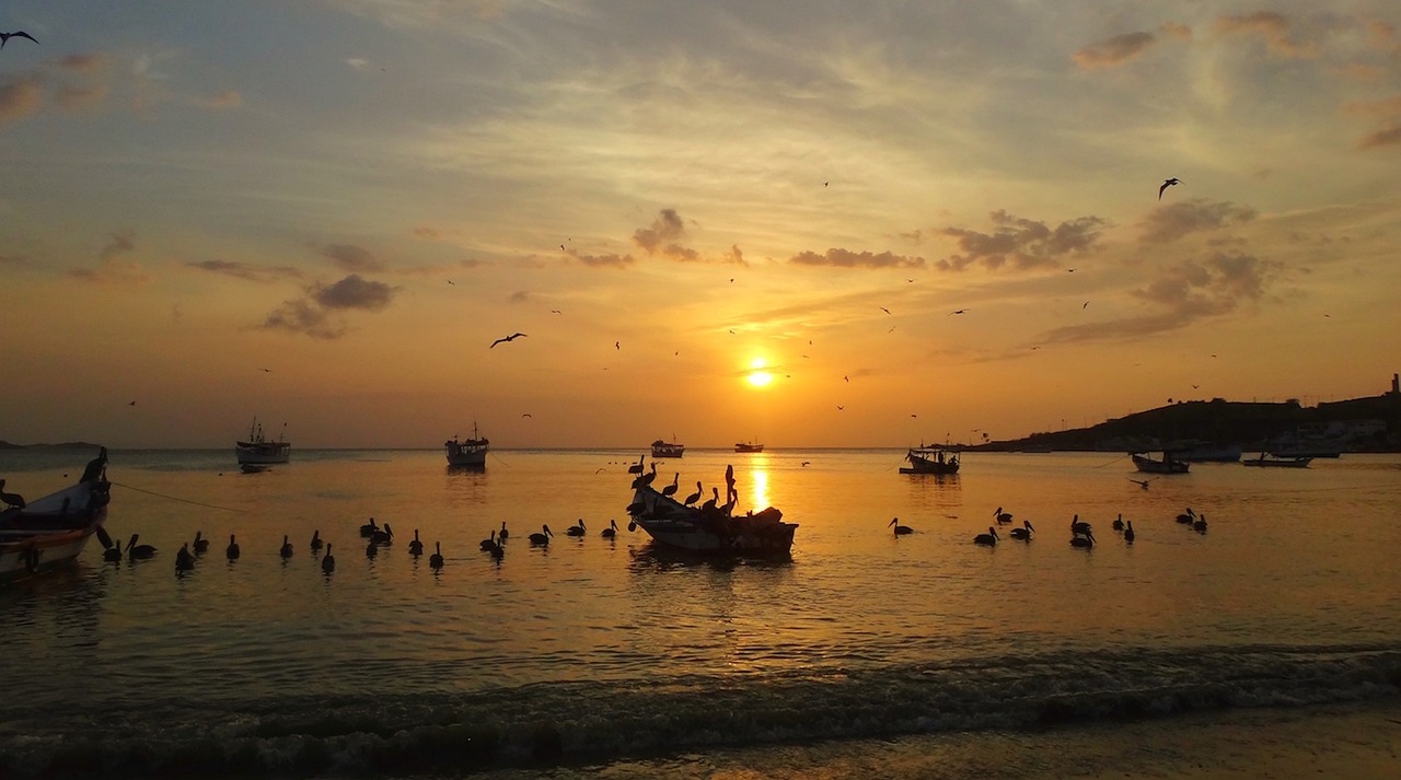 全球大豆市場動態(tài)深度解析，聚焦美豆最新消息