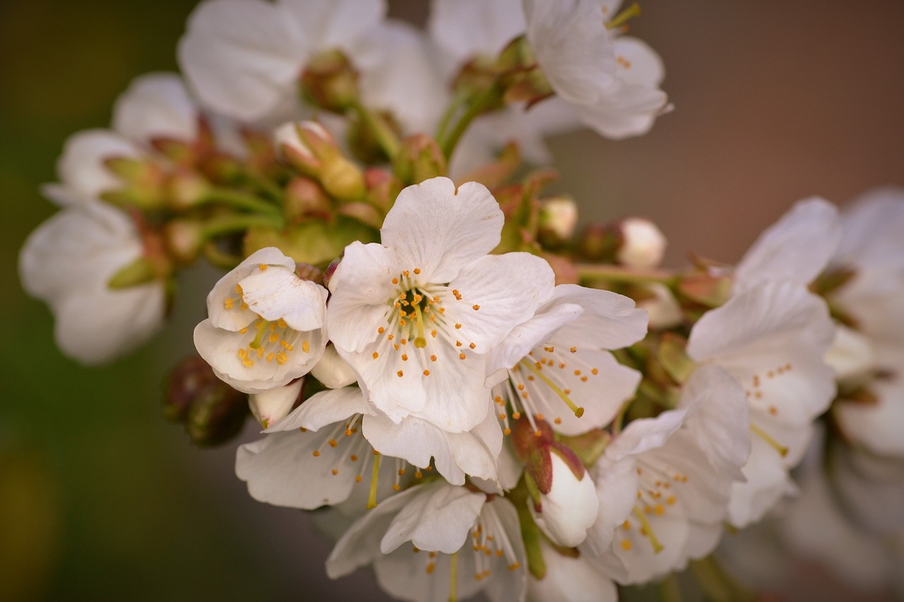 平谷馬坊最新動(dòng)態(tài)報(bào)道，最新新聞更新