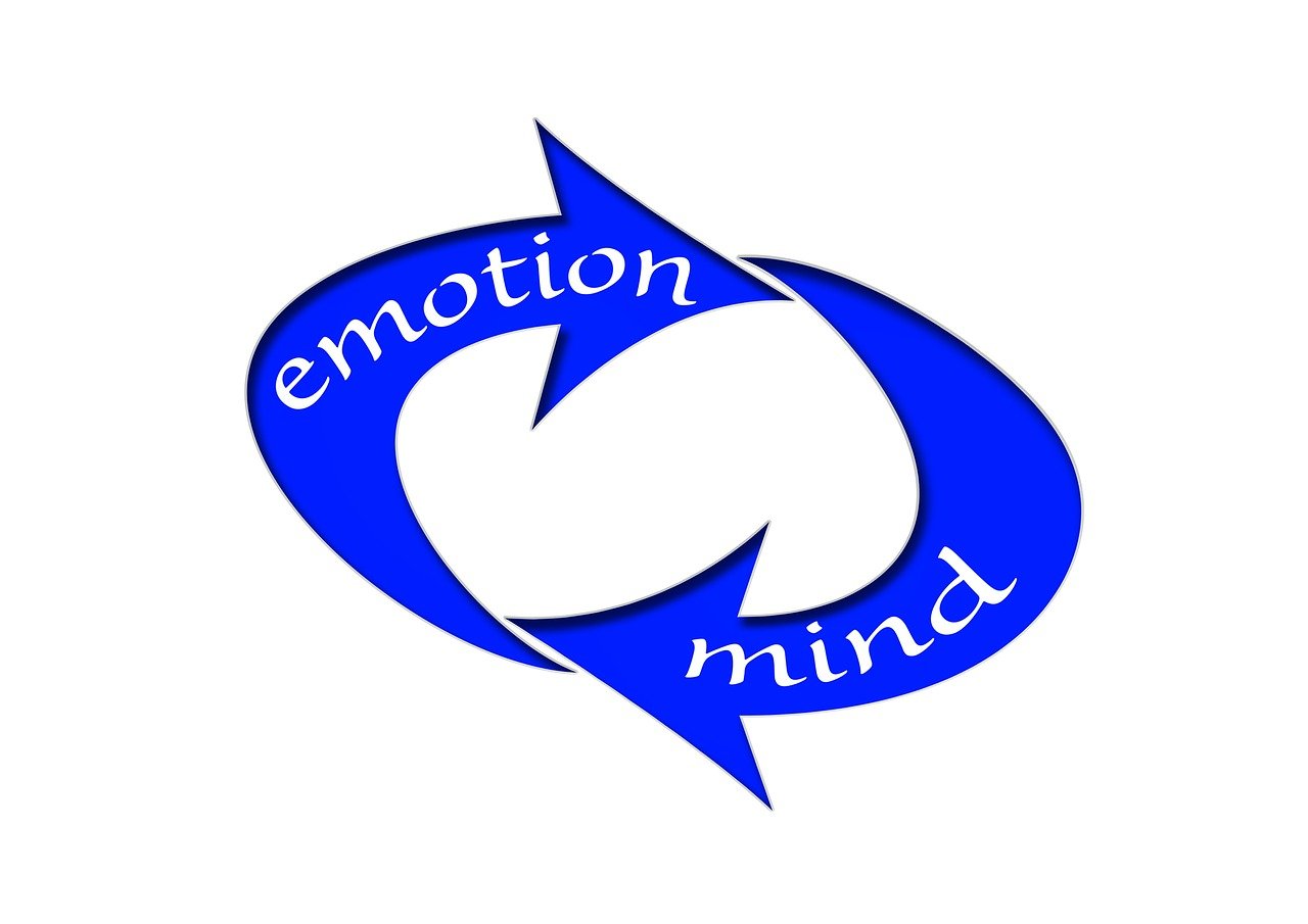 新澳2024大全正版免費，精細化方案決策_創(chuàng)新版65.16.5