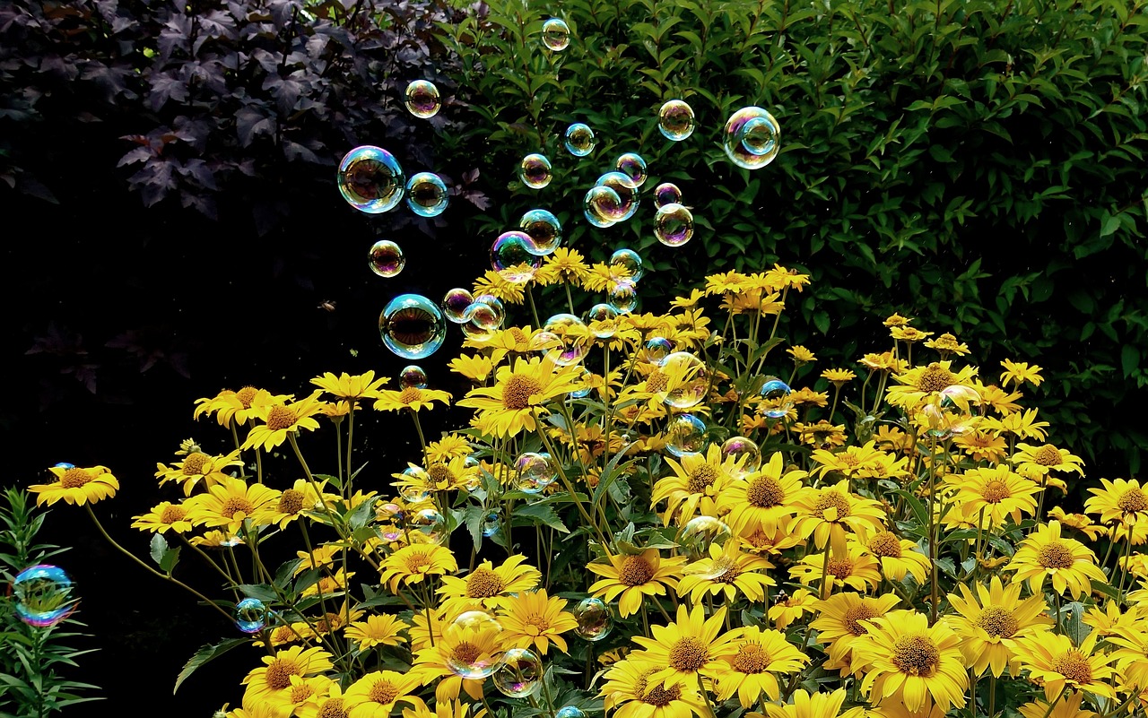 甜中書 第33頁(yè)