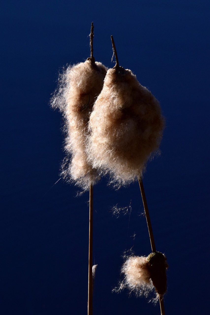 斯丹賽引領(lǐng)科技創(chuàng)新，塑造未來產(chǎn)業(yè)格局新動態(tài)