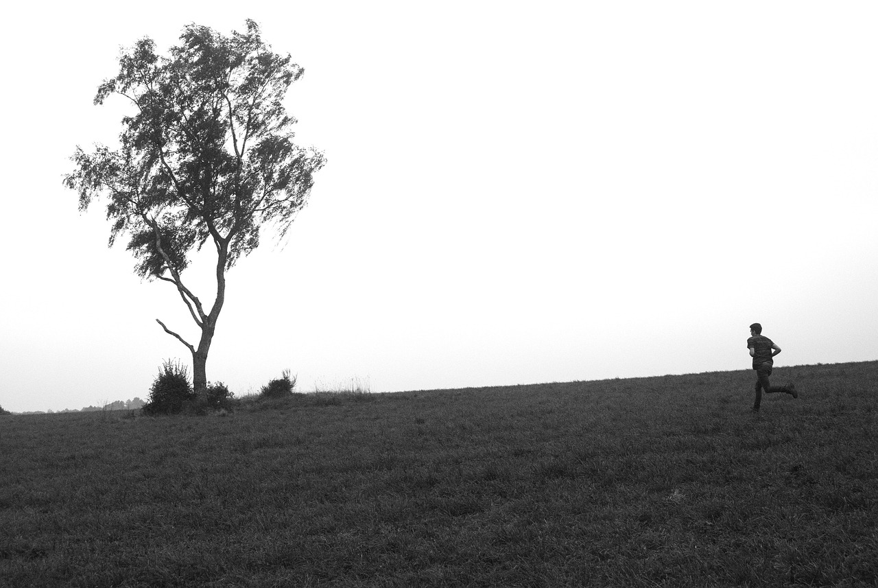 柯卡生最新消息揭秘，科技與健康領域的新動態(tài)探索