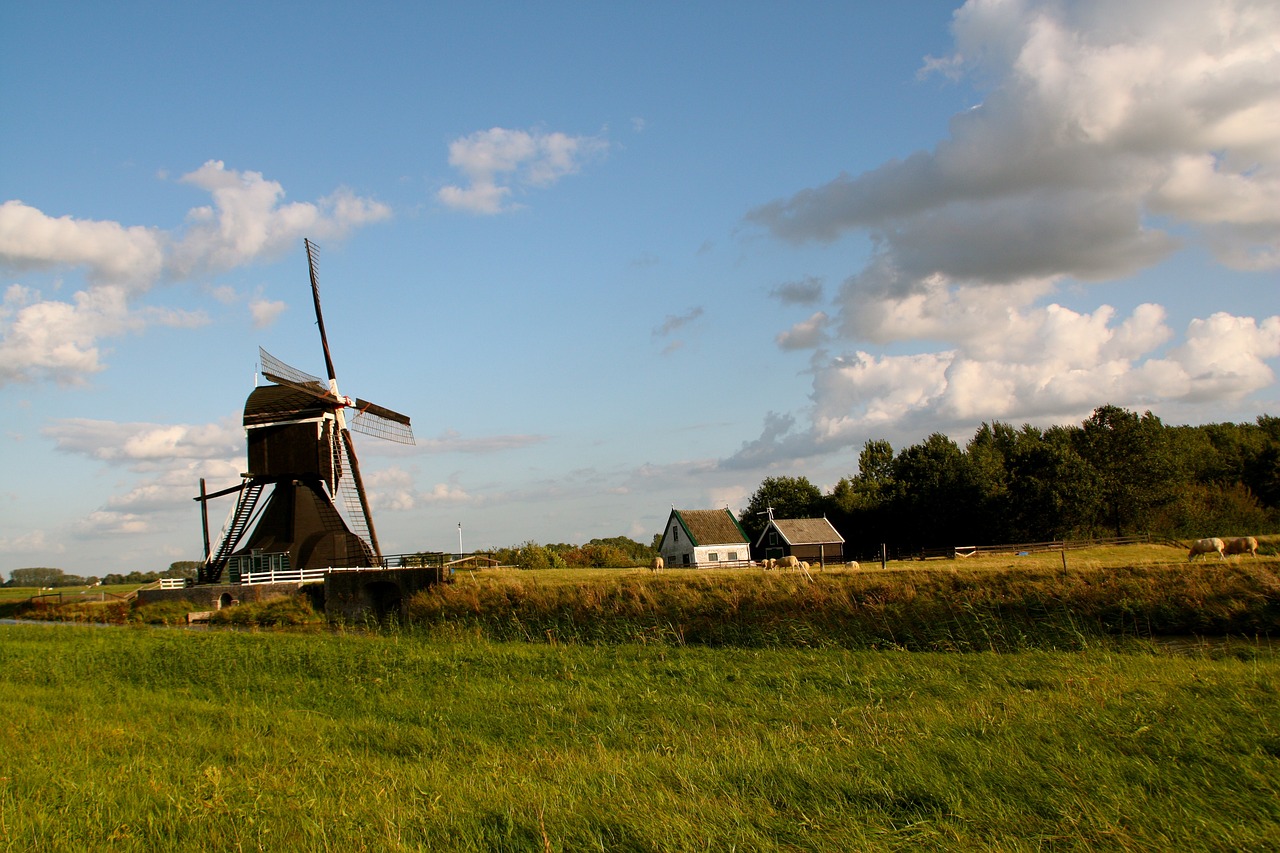 大望村改造最新動(dòng)態(tài)，重塑鄉(xiāng)村面貌，邁向現(xiàn)代化新征程