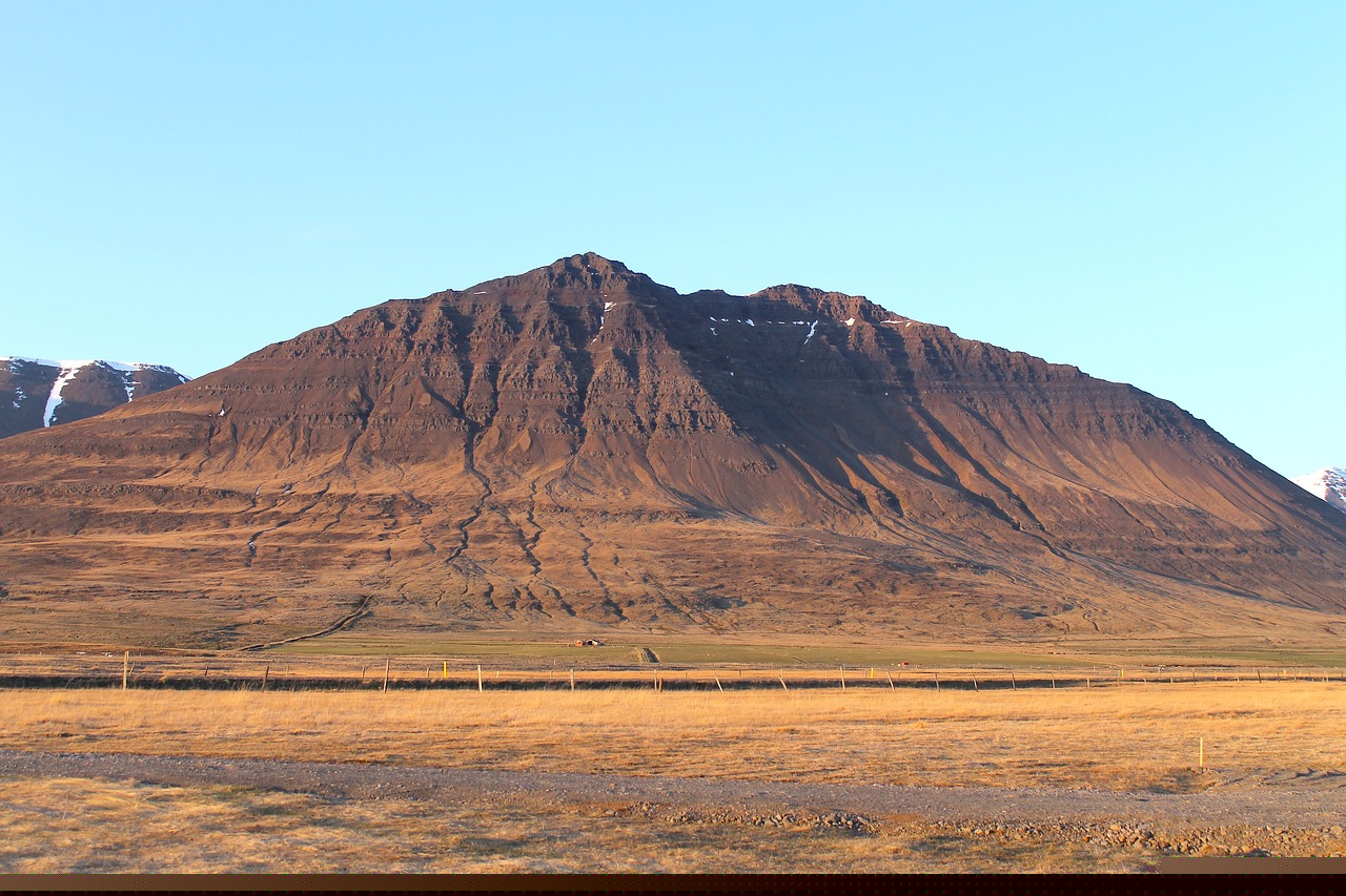 聶存良的最新動態(tài)與成就概覽