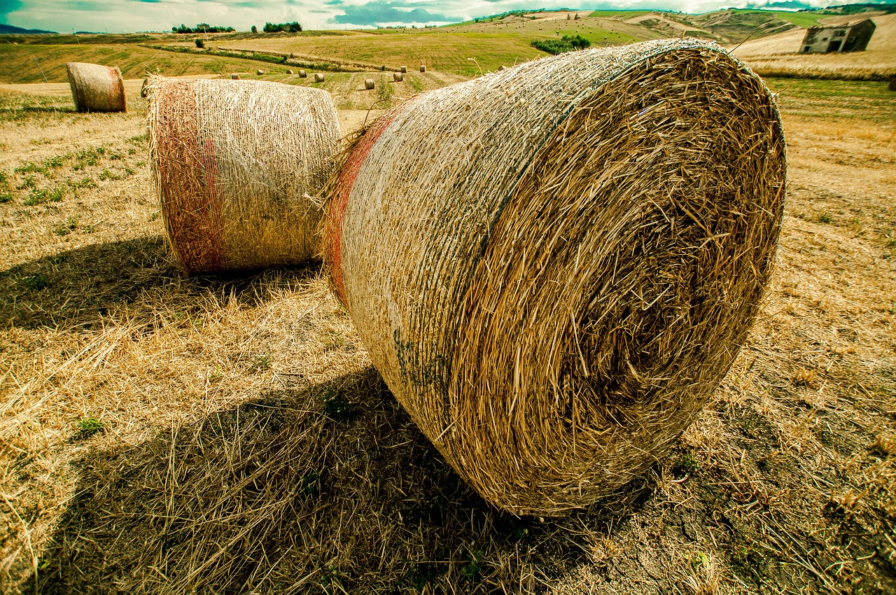 Winner最新動(dòng)態(tài)，引領(lǐng)變革，鑄就輝煌成就