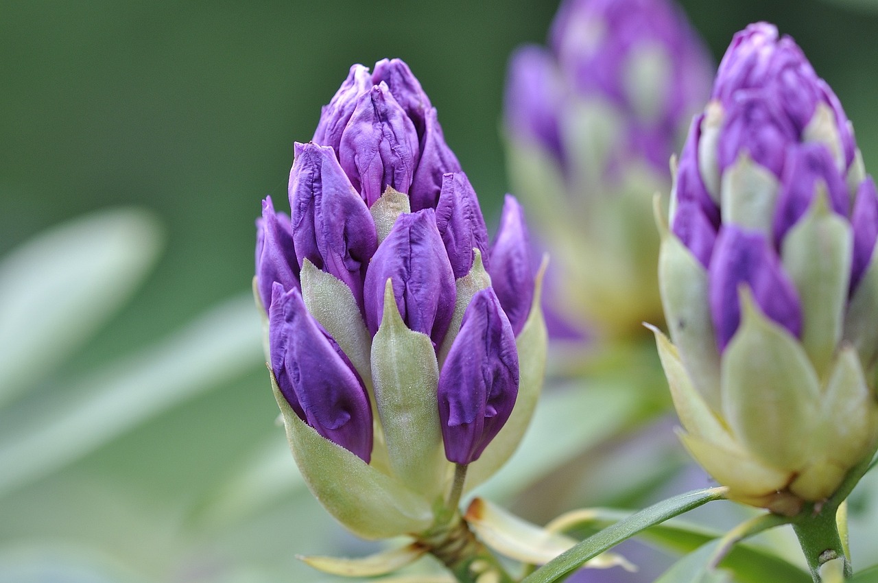 探索個(gè)性風(fēng)采，最新流行頭像潮流概覽 2016個(gè)性頭像精選