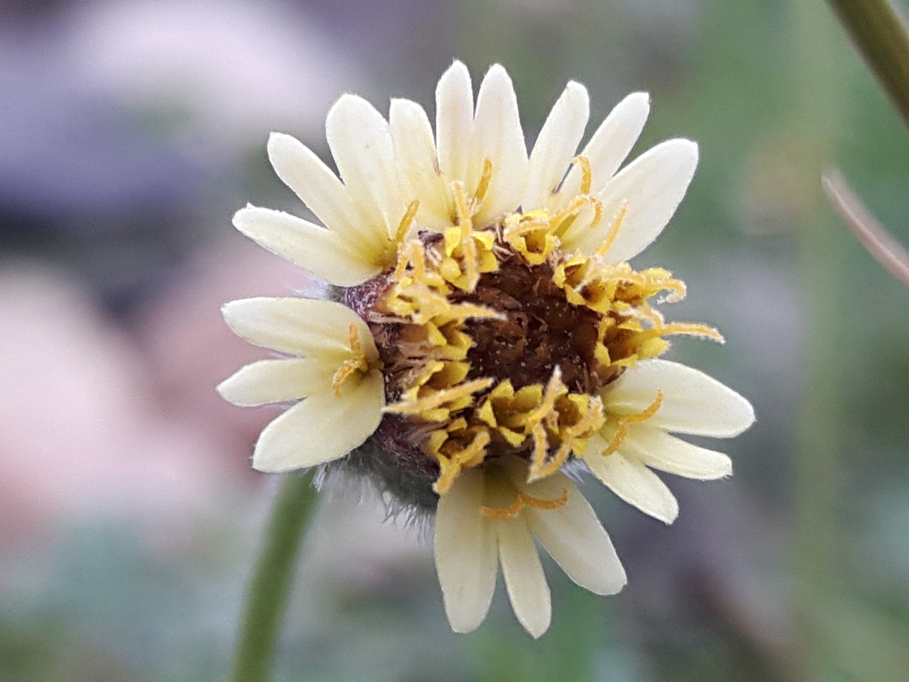 漏刀怪 第23頁(yè)