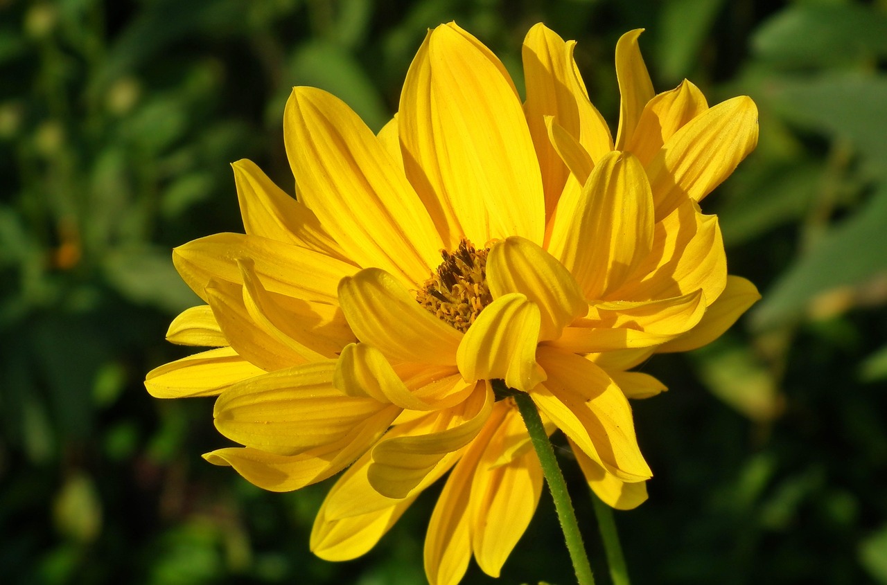 高明區(qū)最新人事任免動態(tài)更新