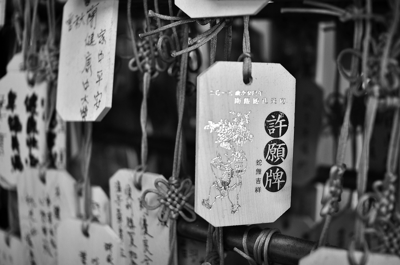 你的愛如星光最新章節(jié)概覽