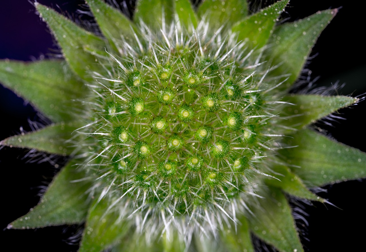 肥西撤縣設(shè)區(qū)邁入新征程，最新消息與縣域發(fā)展動(dòng)態(tài)