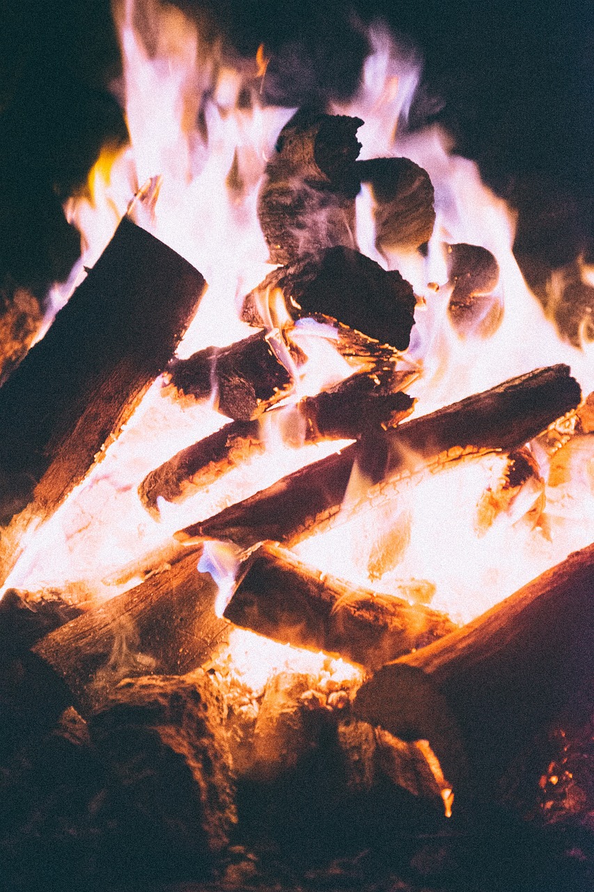 最新噩夢(mèng)遠(yuǎn)征，探險(xiǎn)與挑戰(zhàn)的終極之旅