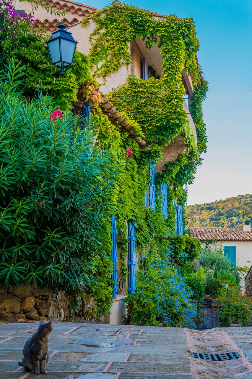 探索自然之美與銀溫泉的健康養(yǎng)生之道