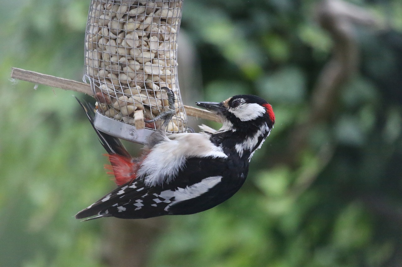 全球油品最新價格動態(tài)及其對市場影響概覽