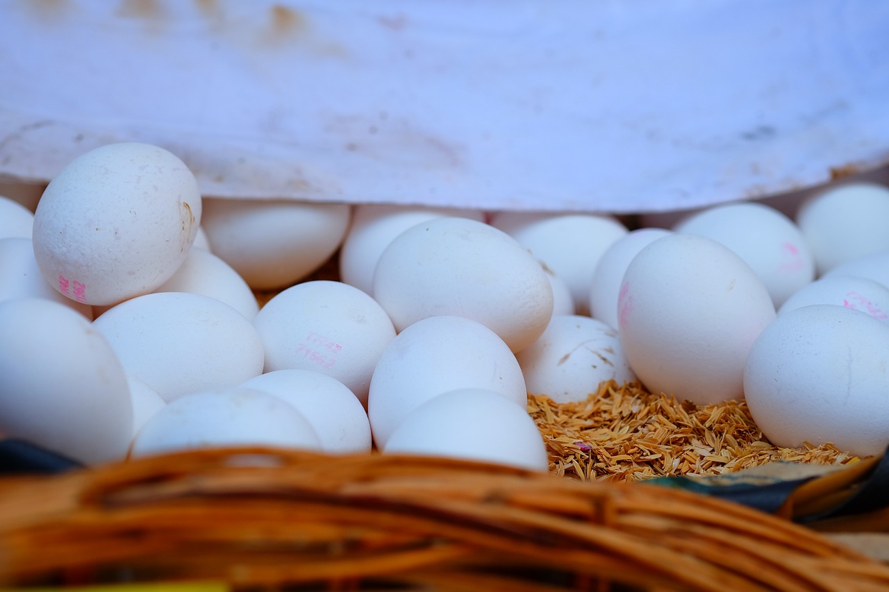 鈧最新價(jià)格動(dòng)態(tài)分析與趨勢(shì)預(yù)測(cè)