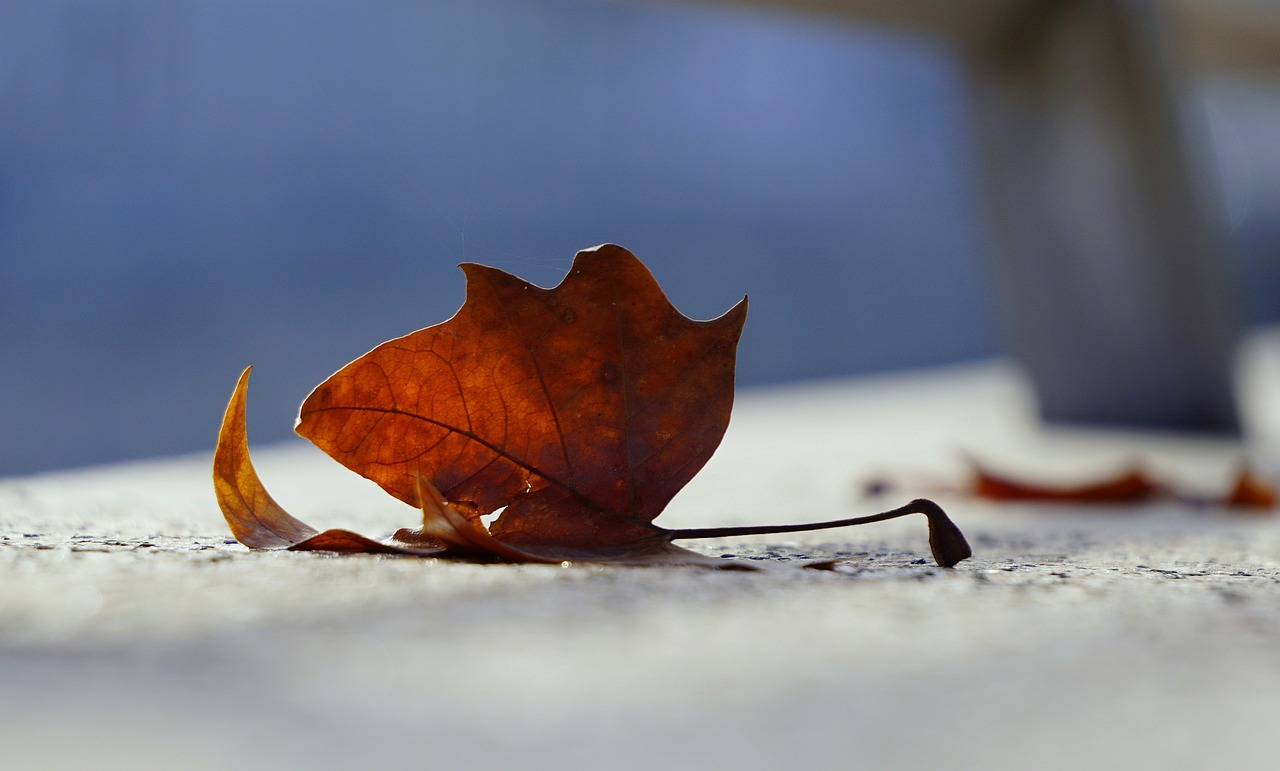 倫敦銀最新動態(tài)及前景展望