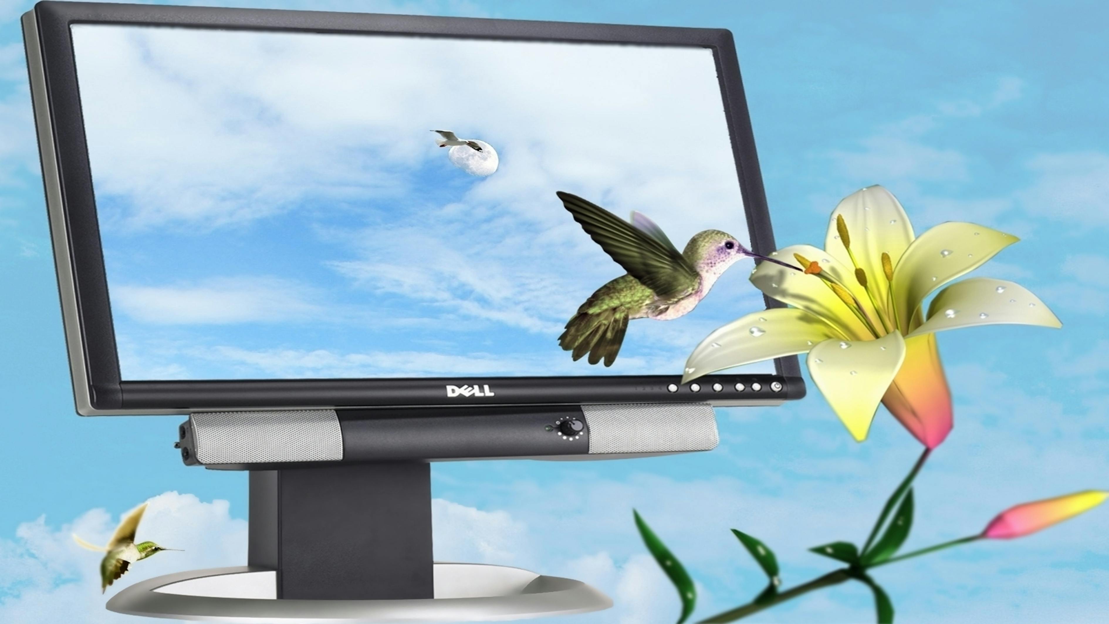 巨野新聞最新報(bào)道，縣域發(fā)展新動(dòng)態(tài)與社會(huì)熱點(diǎn)深度解析