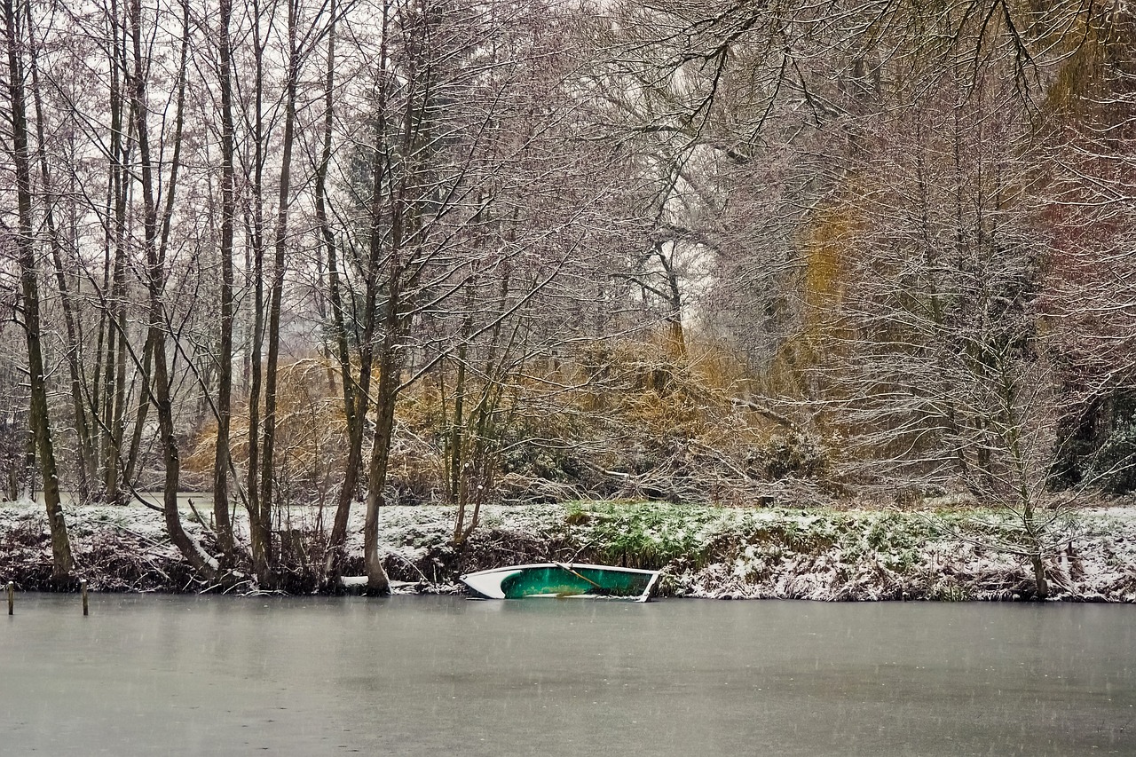 洛陽四季風(fēng)情，最新天氣與氣象體驗