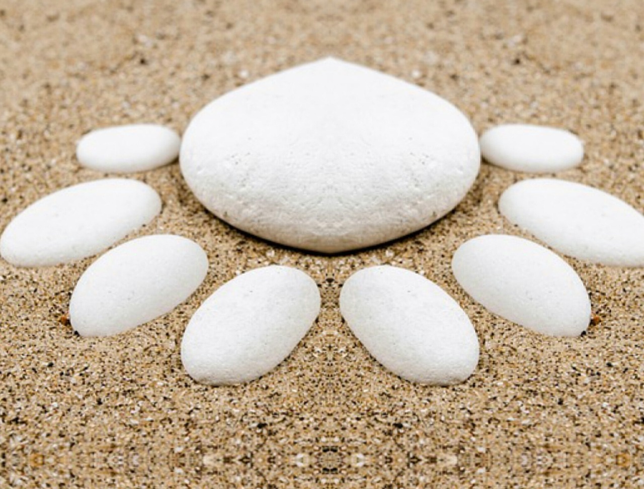 本兮最新動態(tài)，音樂之旅邁入全新篇章