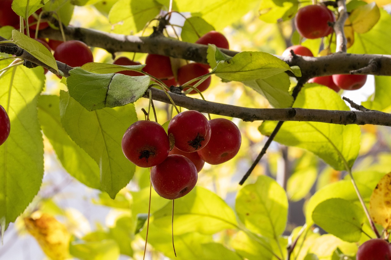 陽谷最新新聞動(dòng)態(tài)報(bào)道速遞
