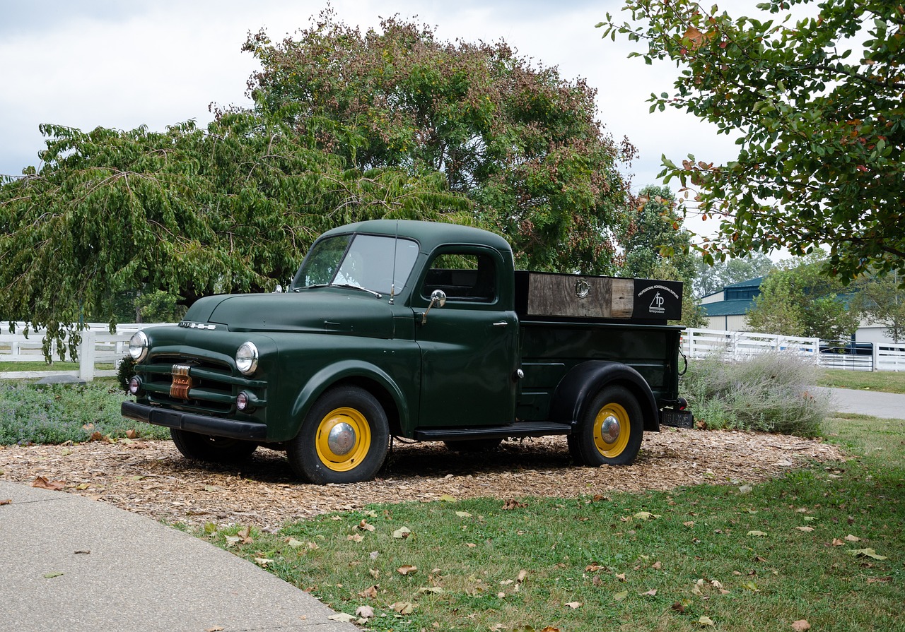 北郭灣最新發(fā)展動態(tài)概覽