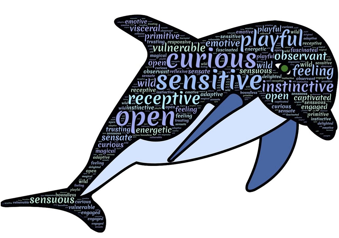 最新斗圖圖片，活力與樂(lè)趣的無(wú)限世界展現(xiàn)