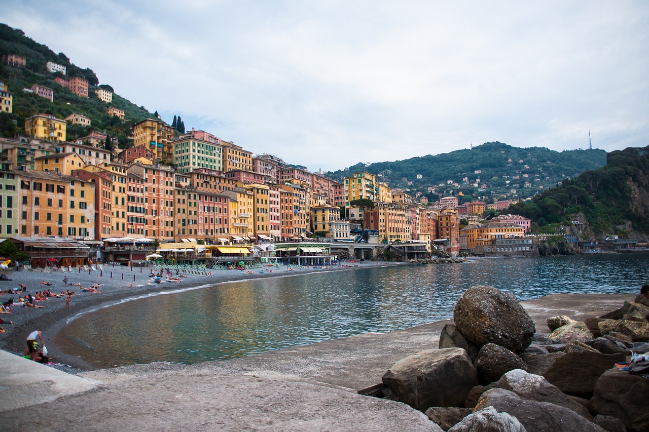 安徽西瓜最新價格動態(tài)分析與趨勢預測