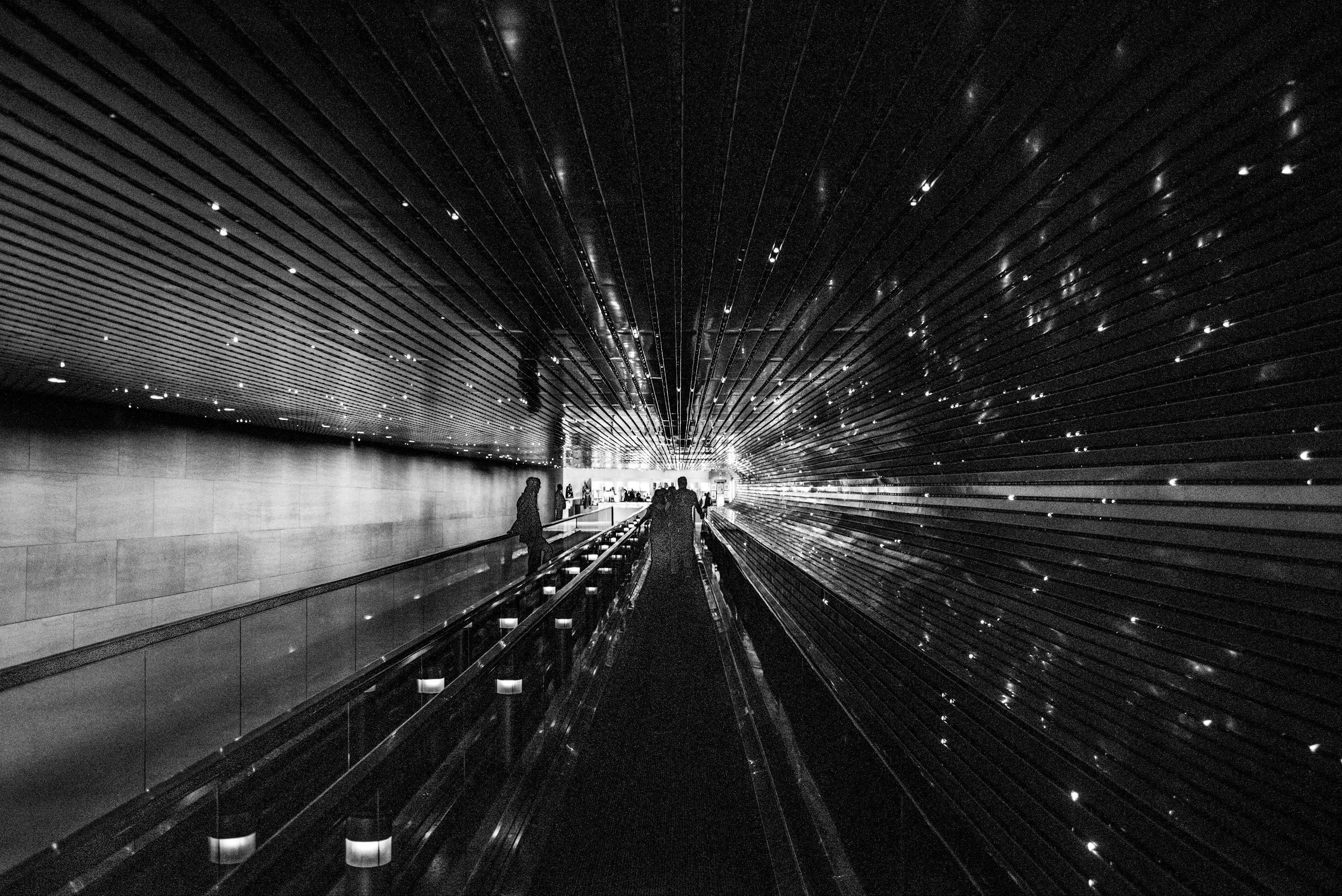 D市界新篇章，繁榮活力展望未來