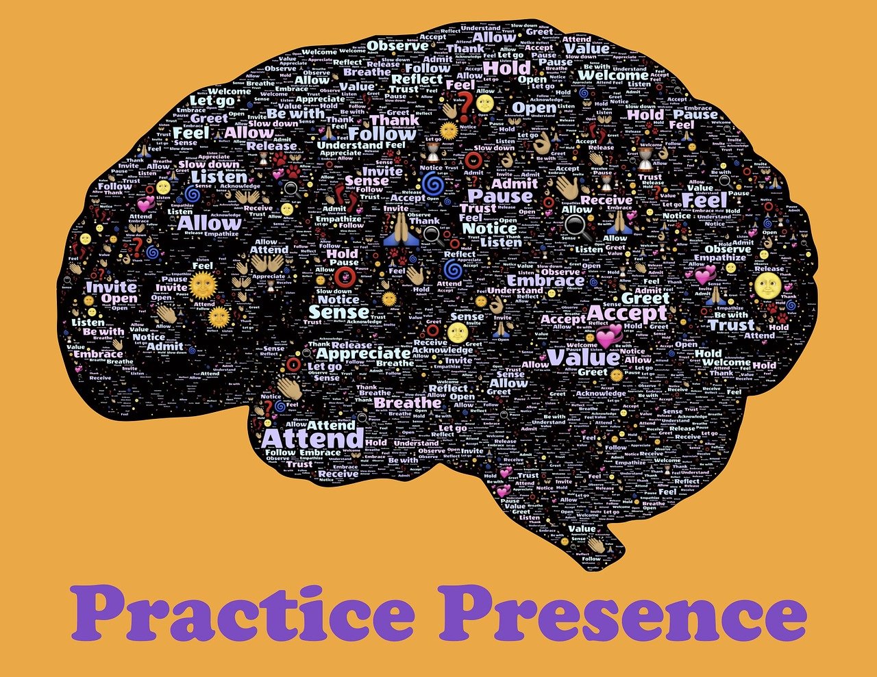 探索崖柏的神秘魅力，最新崖柏視頻欣賞