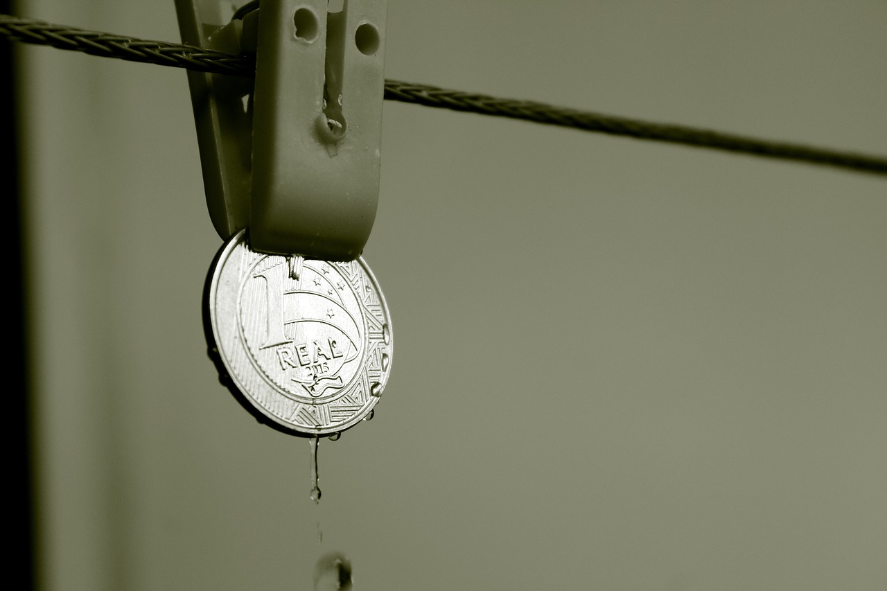 MSD幣最新價格及動態(tài)分析概覽