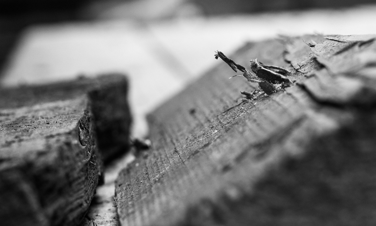 多蘭盾最新動態(tài)與技術(shù)革新概覽